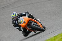 Middle Group Orange Bikes